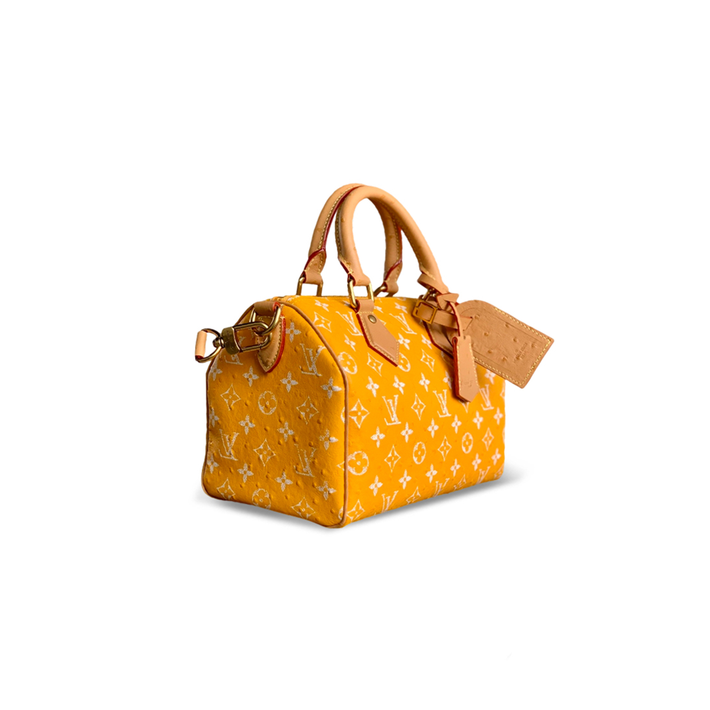 LOUIS VUITTON SPEEDY P9 BANDOULIÈRE 25 M24437 (25*15*15cm)